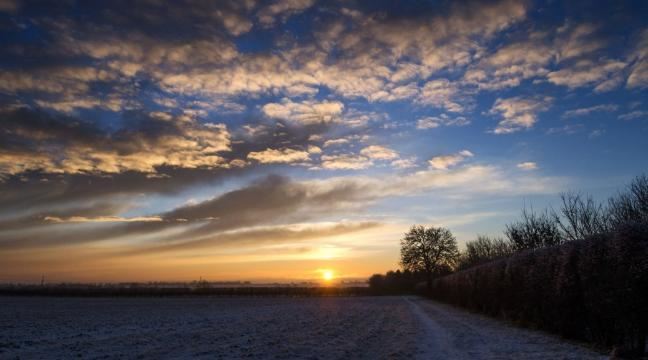 winter skies over Deva gardens at here on earth