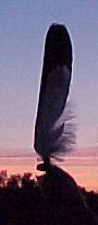 Feather held in hand against sunset