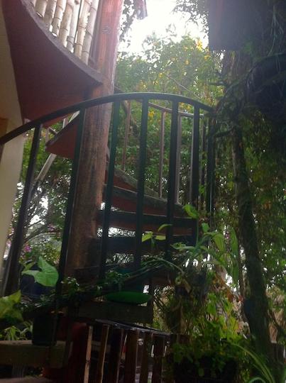 Spiral Stairway Krow Fischer Spiral Stairway amidst greenery Guatemala
