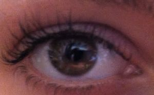 Close up of a big brown eye