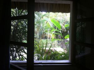 window looj=king out on tropical greenery