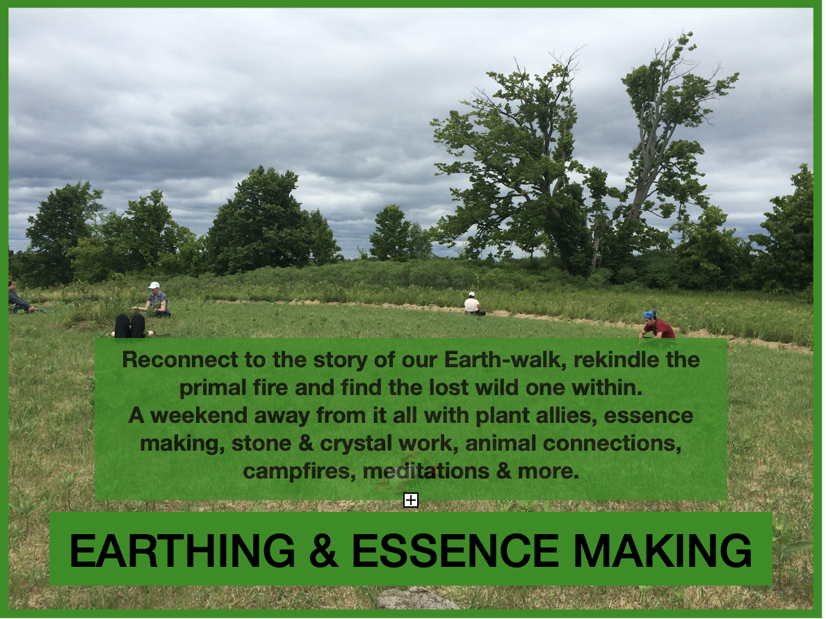 Earthing & Essences booklet