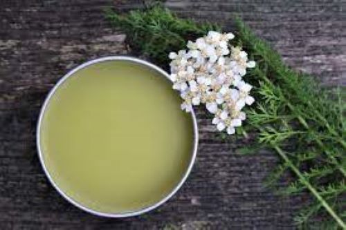 Yarrow salve with the little white yarrow flowers and leaves 